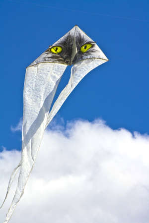 kite on a blue skyの写真素材