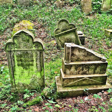 On a Hill in Czech Republic a jewish cemeteryの素材