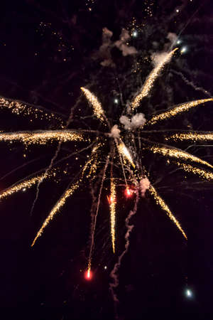 A shining colorful firework is over a dark night sky