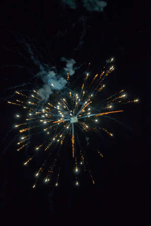 A shining colorful firework is over a dark night sky