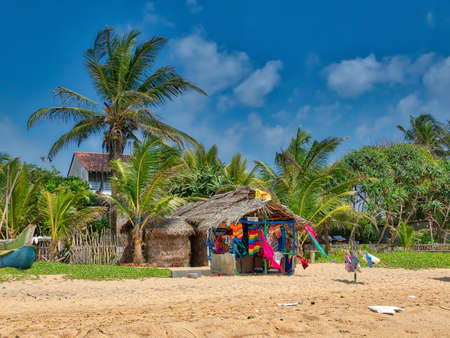 beach scenery at the Hikkaduwa Beach with lots of coconut palm trees, fine sandy beach and palm leaf huts on the fascinating tropical island Sri Lanka in the Indian Oceanのeditorial素材