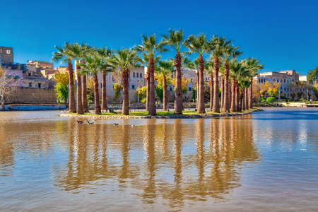An island in the lake with date palms in the city of Fes in Morocco, Northern Africa, with luminous blue skyの写真素材