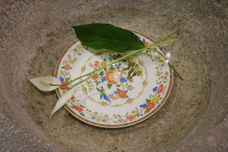 Floral plate sitting in waterの写真素材