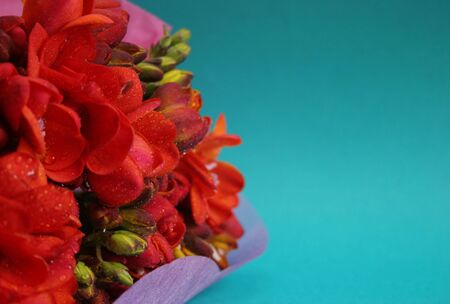 Bouquet of flowers in colored tissue paperの写真素材