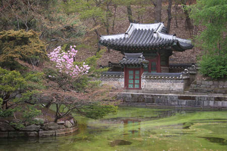 Palace in Koreaの写真素材