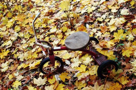 Bicycle parked amongst autumn leavesの写真素材