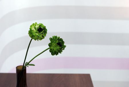 Pretty flowers in a vase - home interiorsの写真素材