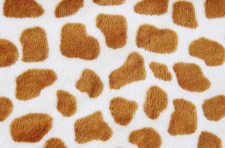 Close-up of furry animal print.