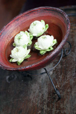 Tropical white flowers floating in a bowl.の写真素材