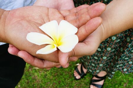 Close-up of a couple holding a frangipani flower.の写真素材