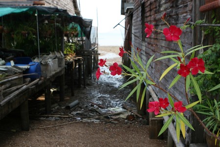Old town area in Koh Lanta, Thailand - travel and tourism.の写真素材