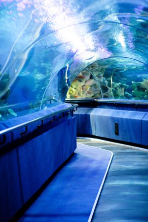 Interior of an aquarium - travel and tourism.の写真素材