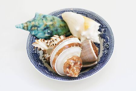 Bowl of shells and things from the ocean isolated.の写真素材