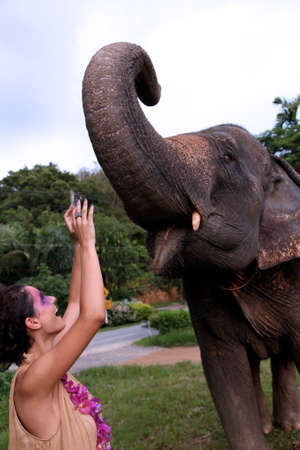 Fashion portrait of a model with an elephant.の写真素材