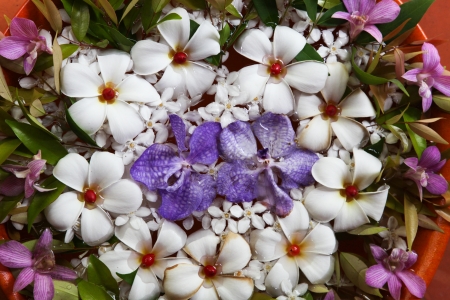 Tropical floral arrangement floating in water with flowers native to Thailand.の写真素材