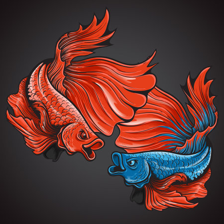 beautiful action halfmoon betta fish logo illustrationのイラスト素材