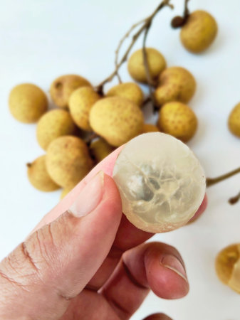 Longan fruit on white background.の写真素材