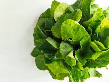 fresh spinach on white background, vegetable for health and diet