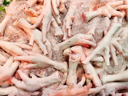 Raw chicken feet on ice for sale in a market, Thailand.の写真素材