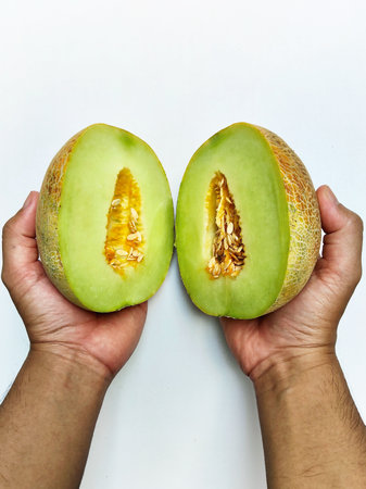Ripe melon in hands on a white background. Close-up.