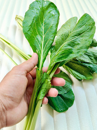 A hand holds a fresh bundle of vibrant green Choy Sum (Chinese Mustard Greens). Perfect for healthy...