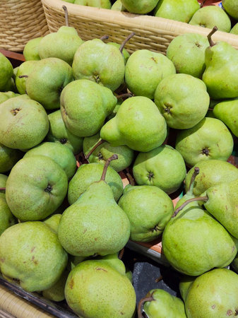 Close Up View of Ripe Green Pears Showing Textured Skin and Healthy Produceの写真素材