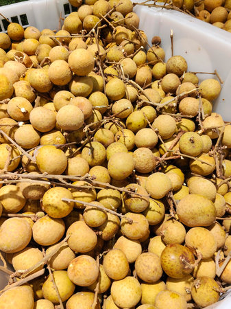 Freshly Harvested Longan Tropical Fruit with Stems Piled High for Sale at the Local Marketの写真素材