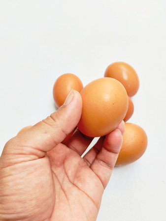 eggs in hand isolated on white background, chicken eggs in hand