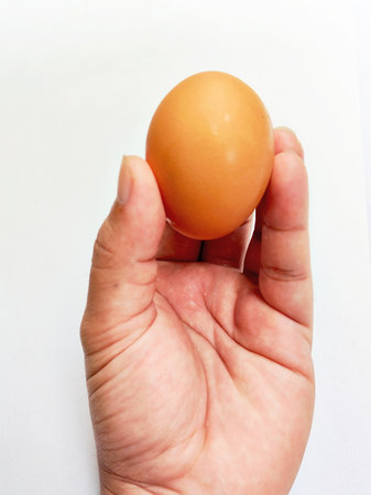 Eggs in hand on a white background. Close up.の写真素材