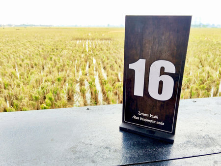 Number 16 on rice field background. Number 16 on wooden sign.
