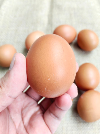 Eggs in hand on the background of a linen cloth.の写真素材