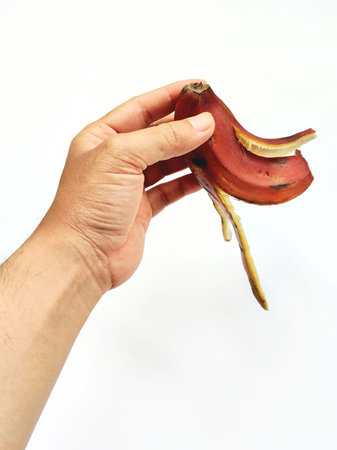 Banana peel in hand isolated on white background with clipping path.の写真素材