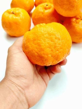 hand holding tangerines isolated on white background, closeup of photoの写真素材