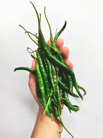 Hand holding a bunch of fresh green chili peppers
