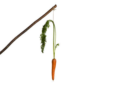 Carrot for motivationの写真素材
