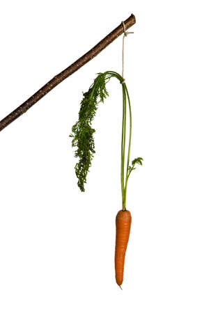 Carrot for motivationの写真素材