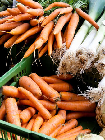 A Confederation of fresh carrots in a market to sellの写真素材