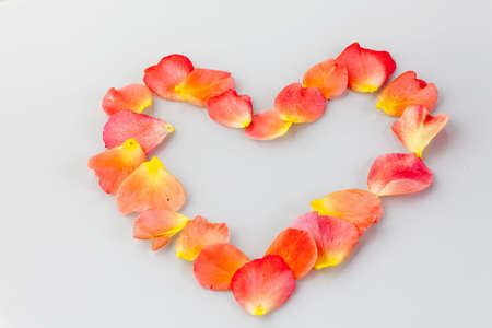 Romantic heart made of roses leaves
