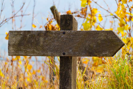 Age guide is made of wood in front direction. Decision and orientationの写真素材