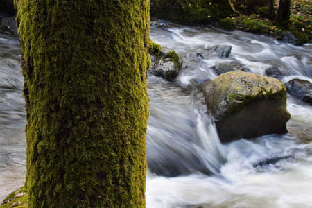 A creek with running water and stones (rocks)の写真素材