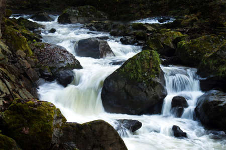 A creek with running water and stones (rocks)の写真素材