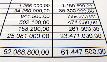 Pay a balance sheet or a statistic. Budget and costsの写真素材