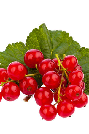 Red Currants (Currant) lie on a white backgroundの写真素材