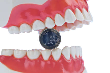 A dental model to the dentist with euro notes. Cost of Health.