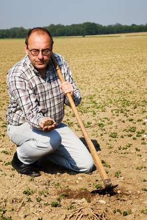 a farmer checks the small plants in a field of agriculture.の写真素材
