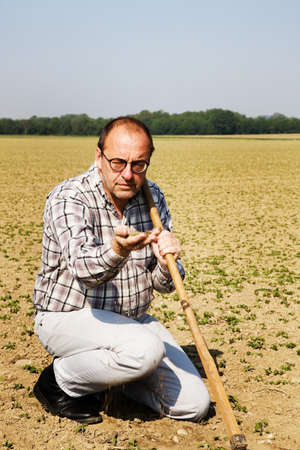 a farmer checks the small plants in a field of agriculture.の写真素材