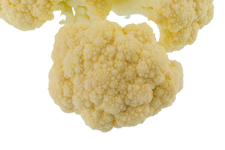 a tuber cauliflower  cauliflower in austria  lies on white backgroundの写真素材