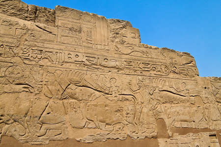 africa, egypt, luxor, temple of luxor amun  one of the landmarks