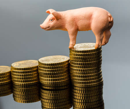a pig standing on a stack of coins  rising feed costs in agriculture  diminishing returns for porkの写真素材