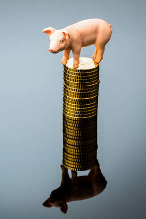 a pig standing on a stack of coins  rising feed costs in agriculture  diminishing returns for porkの写真素材